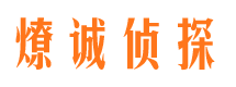 和田市调查公司